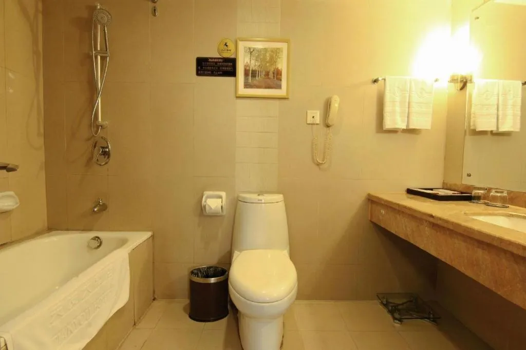 Chongqing Tianyou Hotel