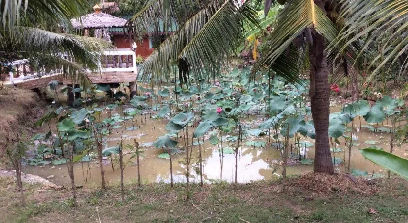 Himawari Restaurant and Cottage