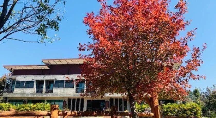 Hongfu Boutique Resort