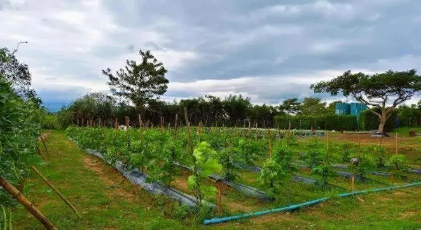 Montana Cotswolds Resort