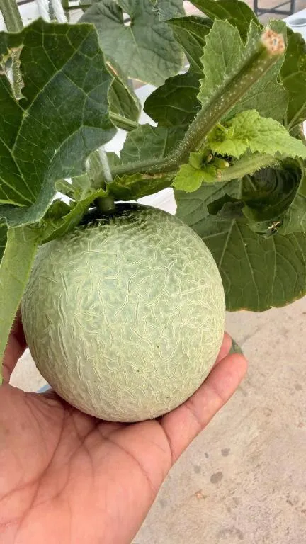 Montana Cotswolds Resort