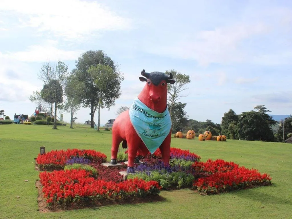 Montana Cotswolds Resort