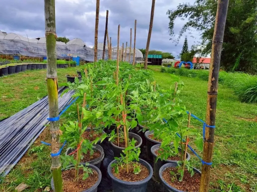 Montana Cotswolds Resort