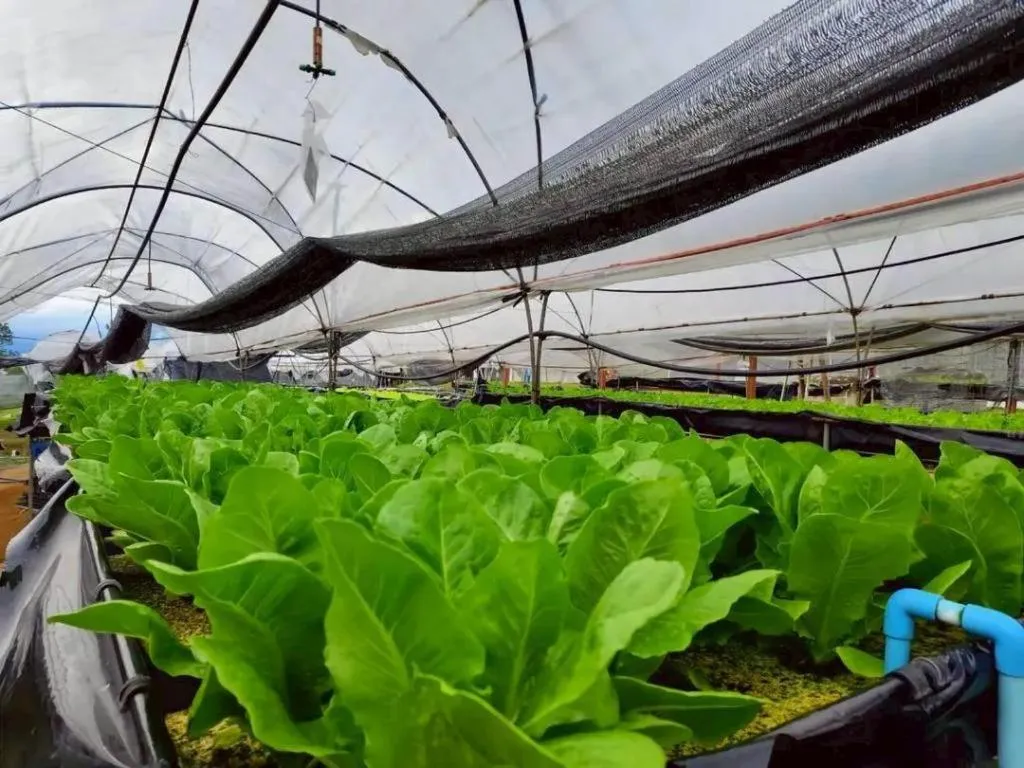 Montana Cotswolds Resort