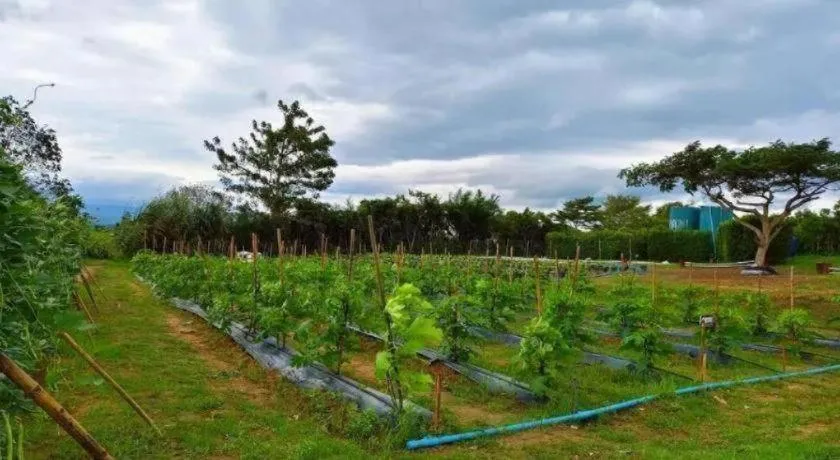 Montana Cotswolds Resort