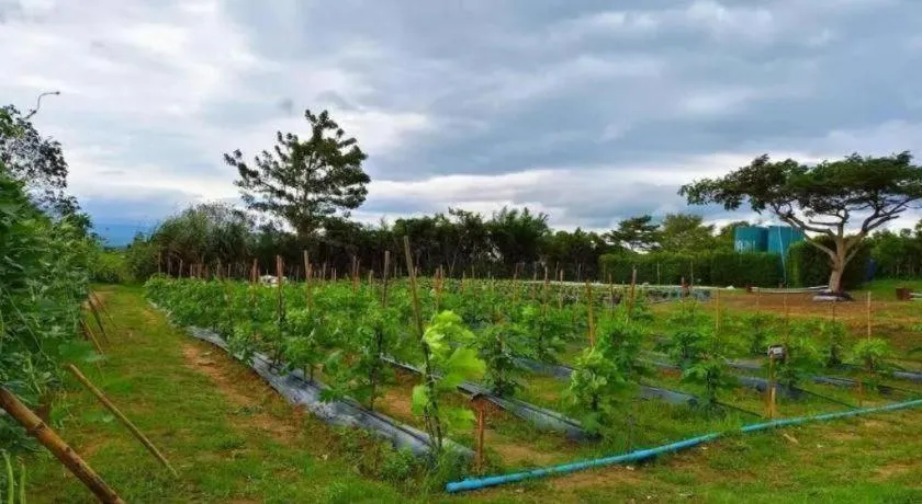 Montana Cotswolds Resort