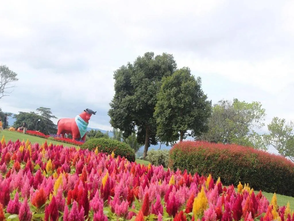 Montana Cotswolds Resort