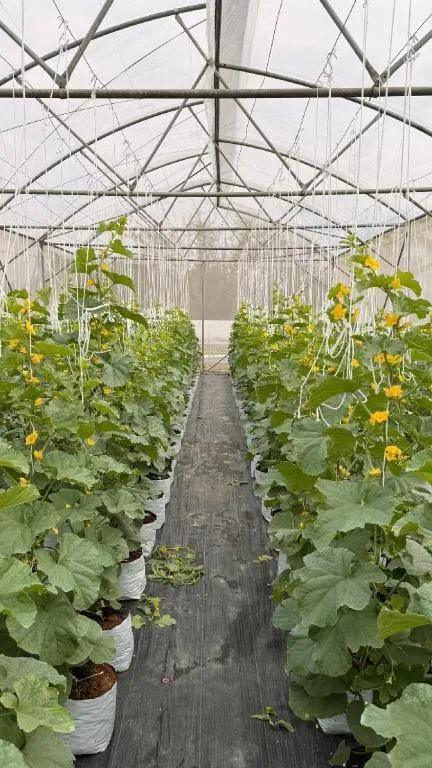 Montana Cotswolds Resort