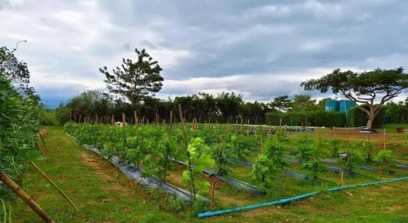 Montana Cotswolds Resort