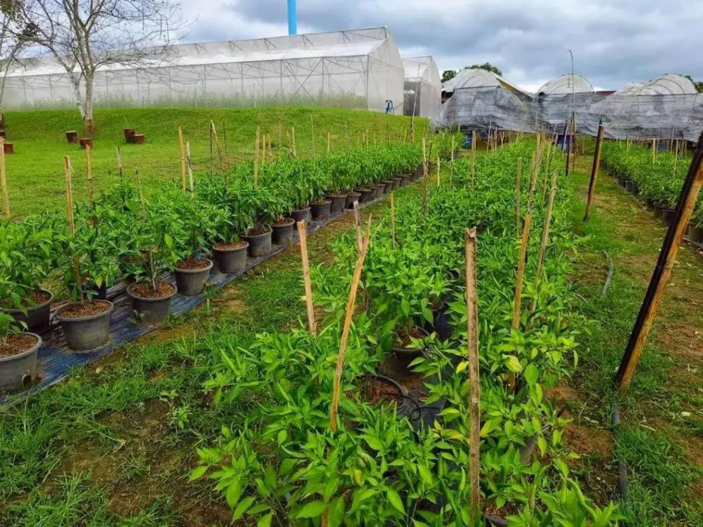 Montana Cotswolds Resort