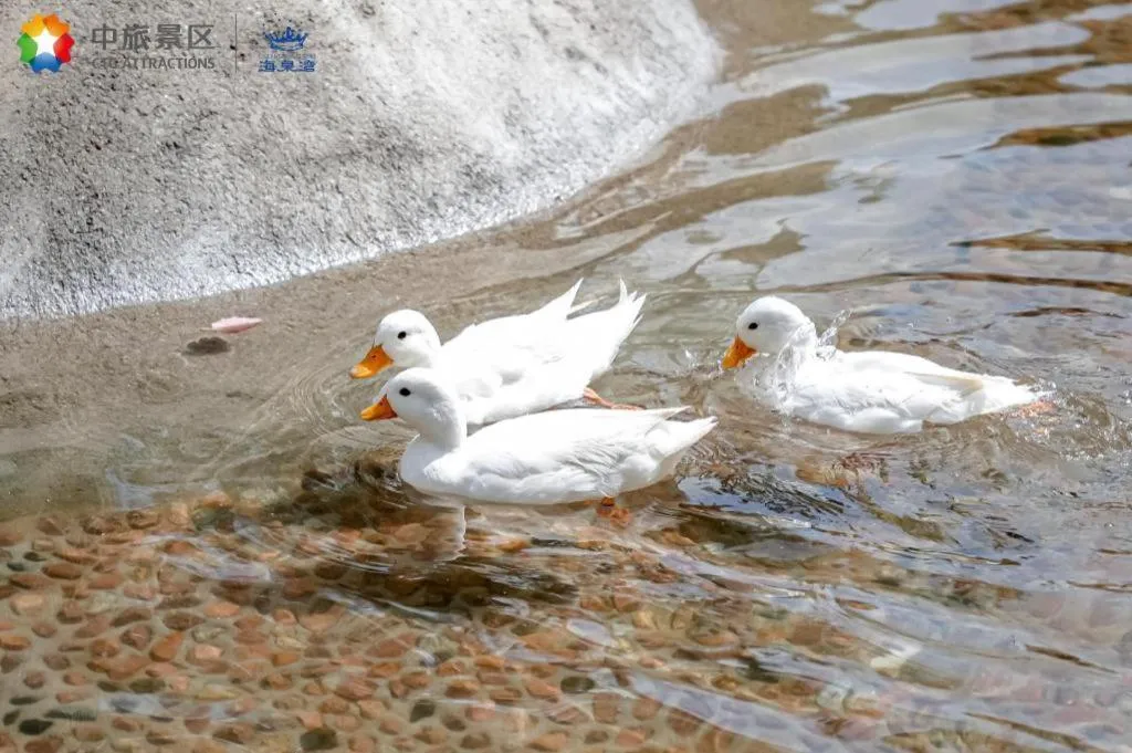 Ocean Spring Metropark Hotel Zhuhai