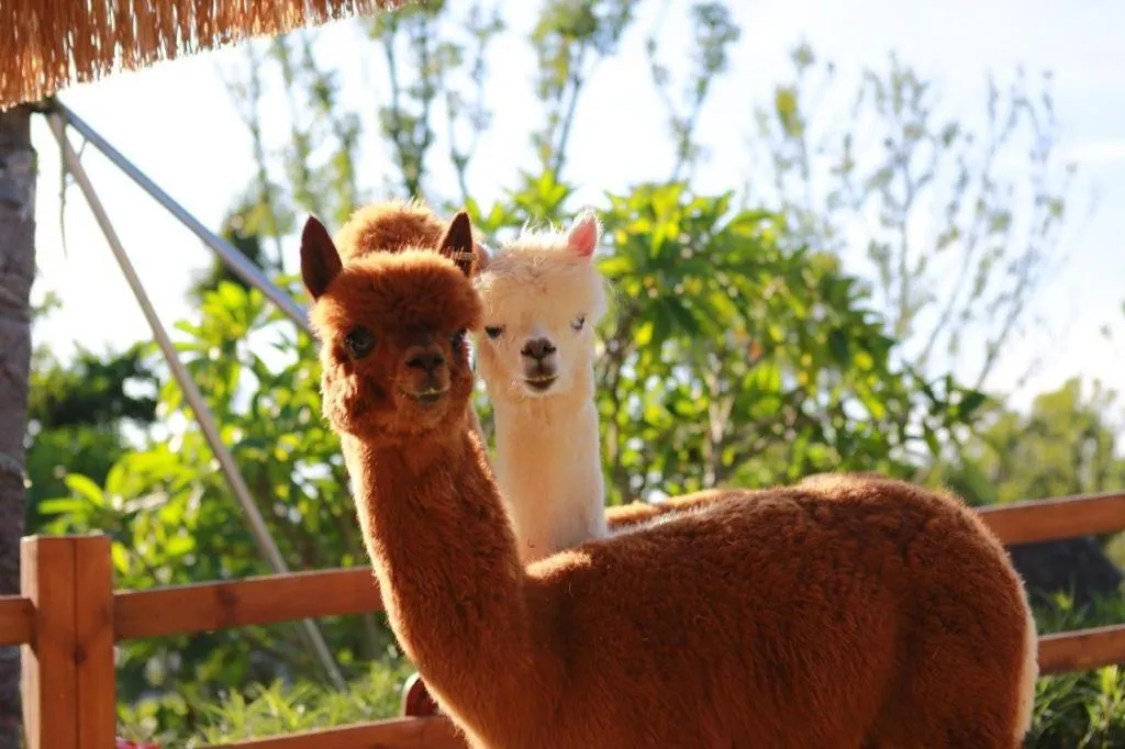 Ocean Spring Metropark Hotel Zhuhai