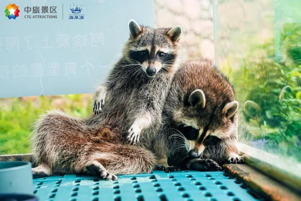 Ocean Spring Metropark Hotel Zhuhai