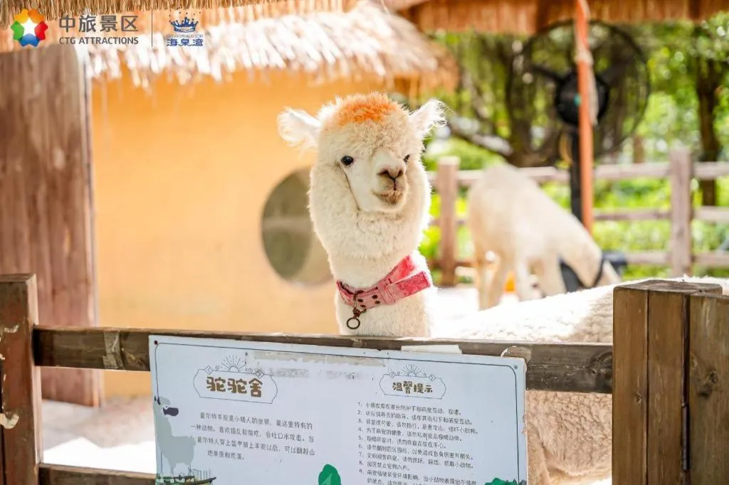 Ocean Spring Metropark Hotel Zhuhai