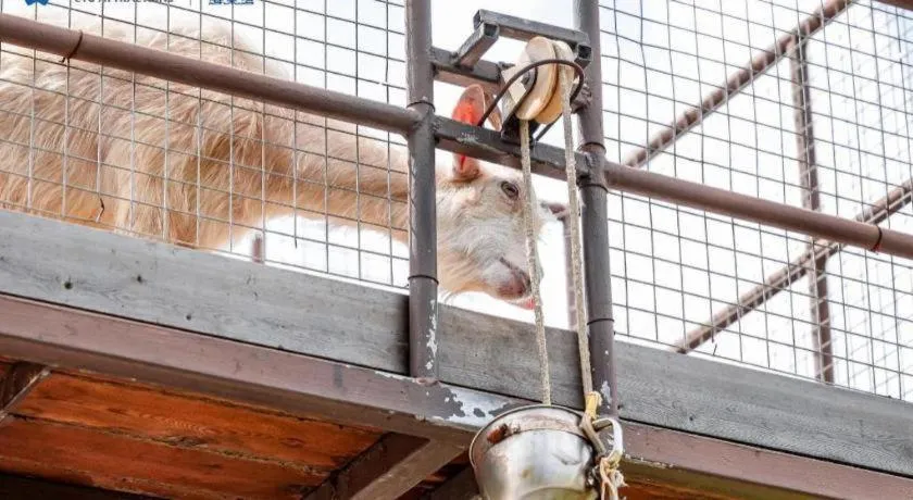 Ocean Spring Metropark Hotel Zhuhai