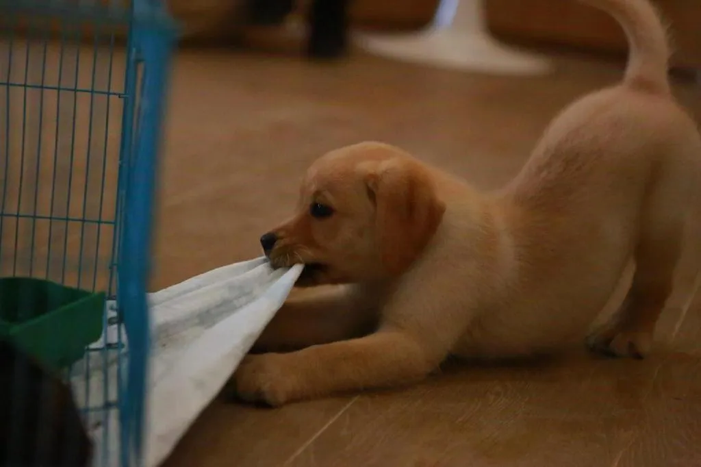 Ocean Spring Metropark Hotel Zhuhai