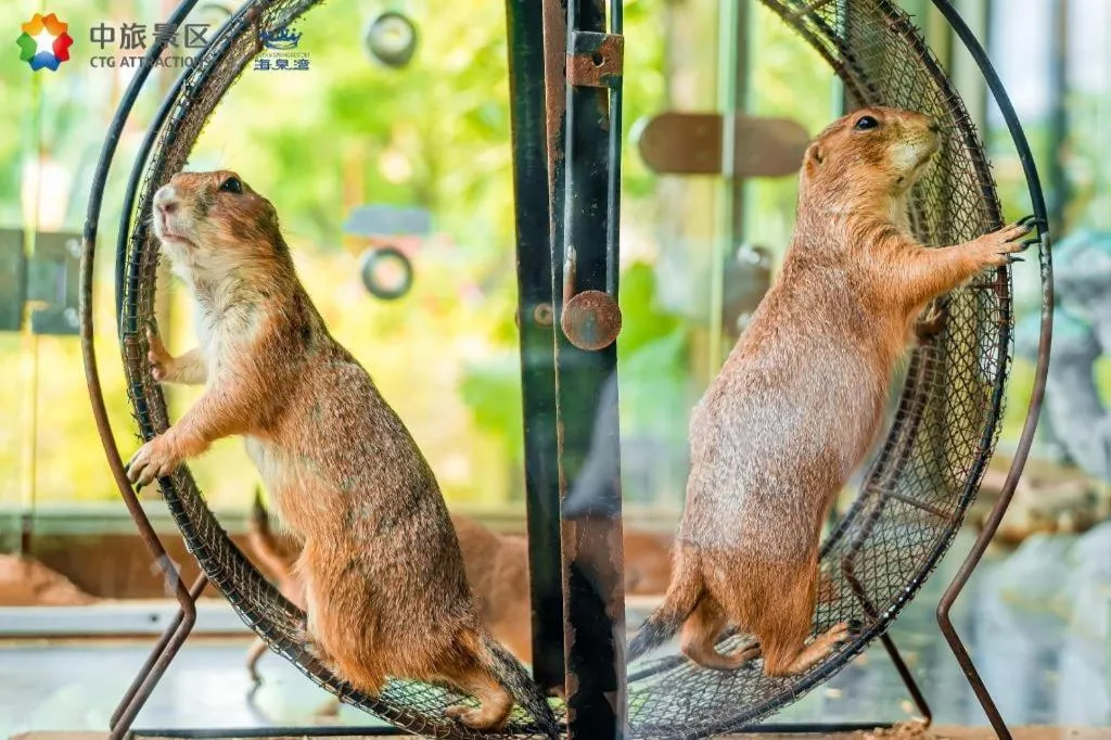 Ocean Spring Metropark Hotel Zhuhai