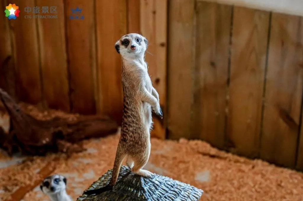 Ocean Spring Metropark Hotel Zhuhai