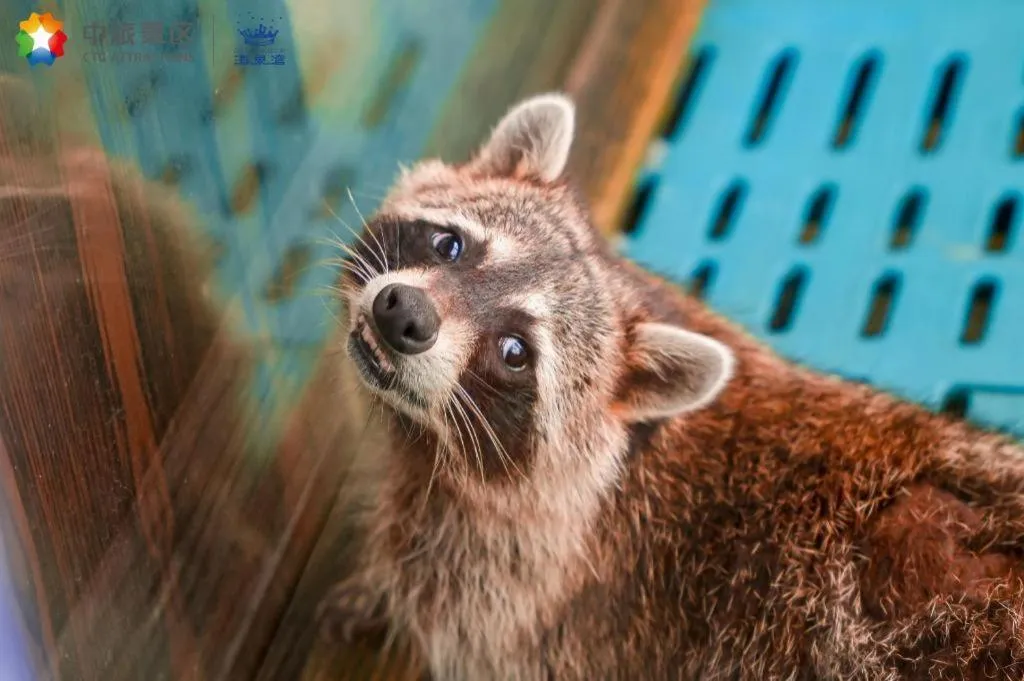 Ocean Spring Metropark Hotel Zhuhai