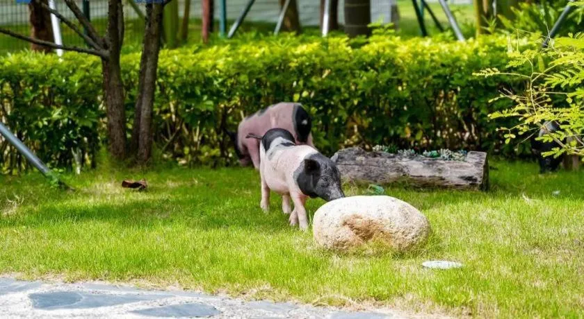 Ocean Spring Metropark Hotel Zhuhai