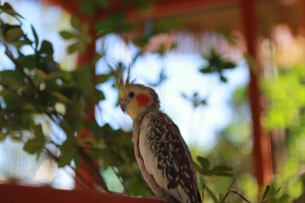 Ocean Spring Metropark Hotel Zhuhai