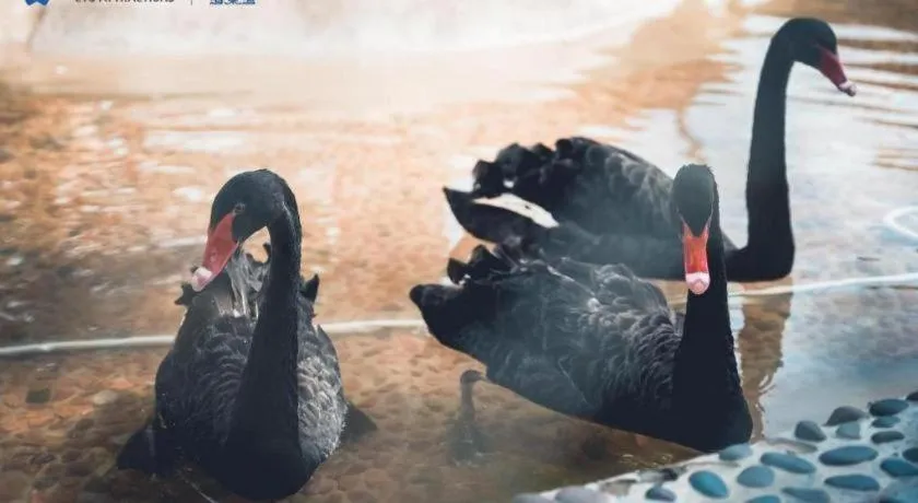 Ocean Spring Metropark Hotel Zhuhai