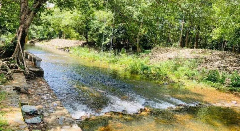 Ma-Kham Forest Resort