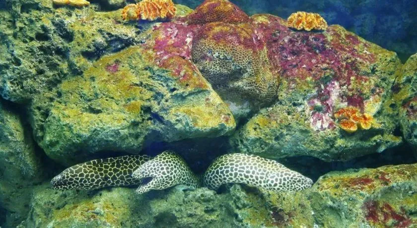 Bangsaen Villa Hotel