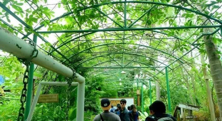 RuenNamyen Resort Amphawa