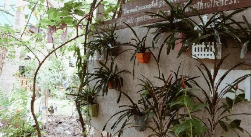 RuenNamyen Resort Amphawa