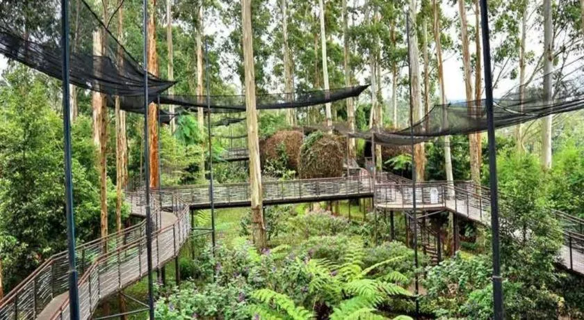 Dusun Bambu Resort
