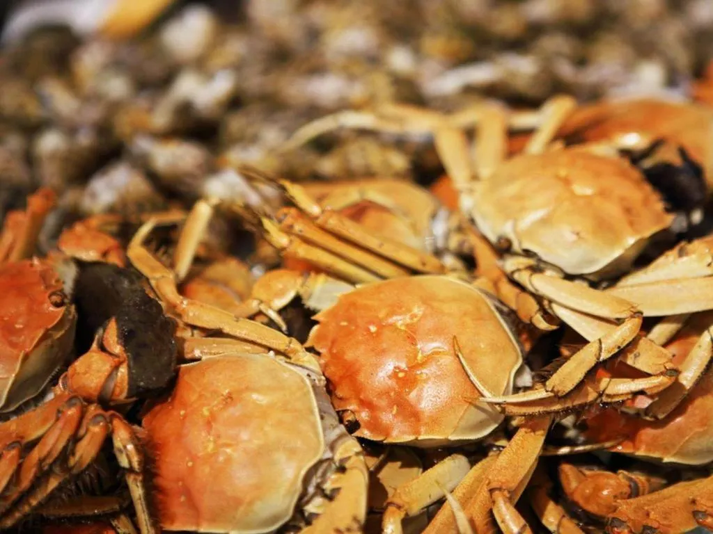 Shenzhen Hanyong Hotel Fuyong Branch