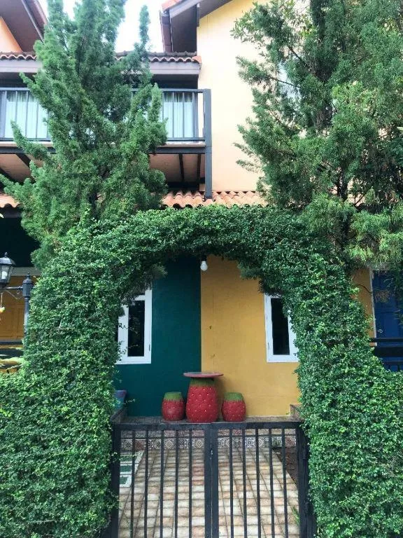 The Color Resort Amphawa