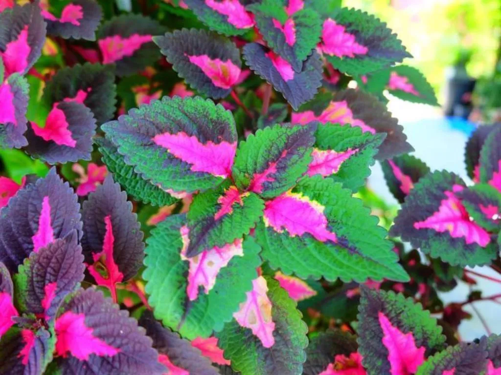 Rommai Rimnaam Resort