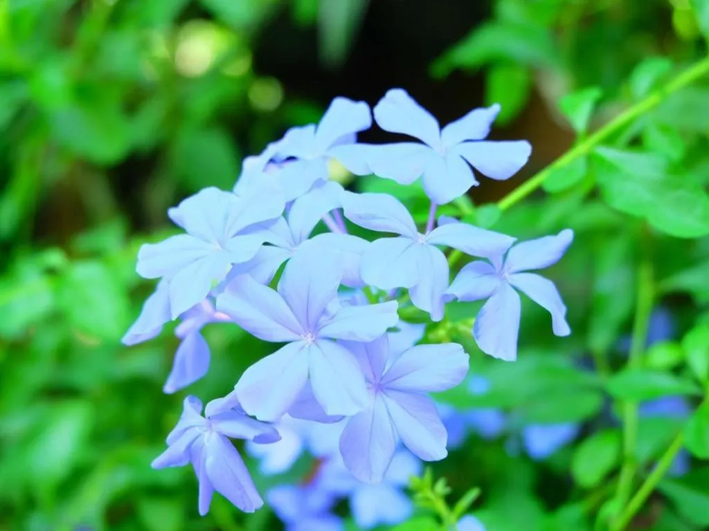 Rommai Rimnaam Resort