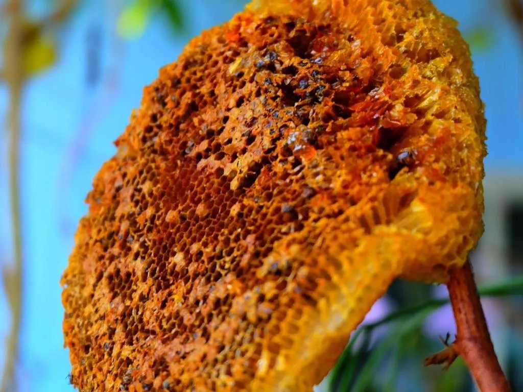 Rommai Rimnaam Resort