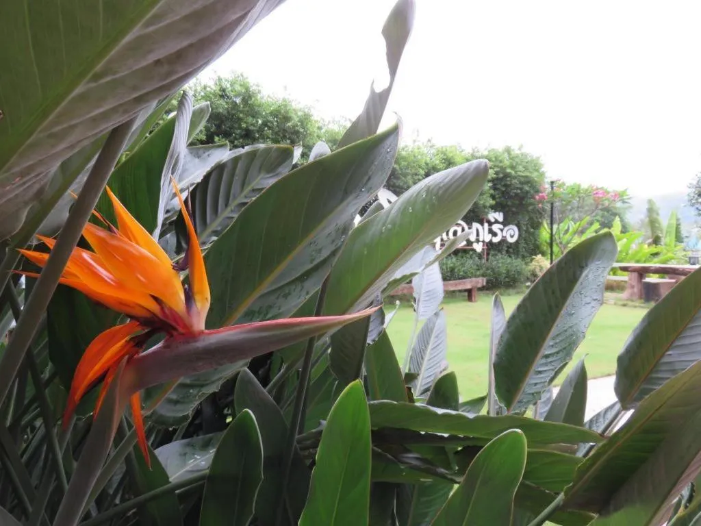 Be Cool Boutique Hotel @Phurua