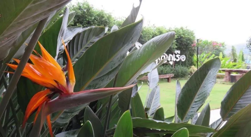 Be Cool Boutique Hotel @Phurua