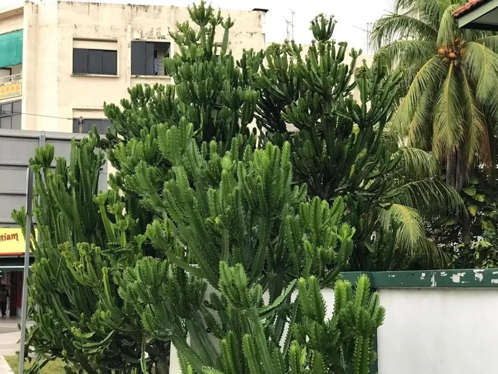 Lai Ming Hotel Cosmoland