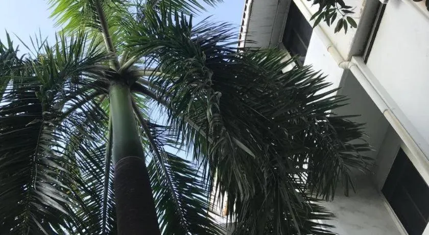 Lai Ming Hotel Cosmoland