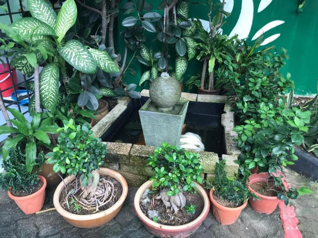 Lai Ming Hotel Cosmoland