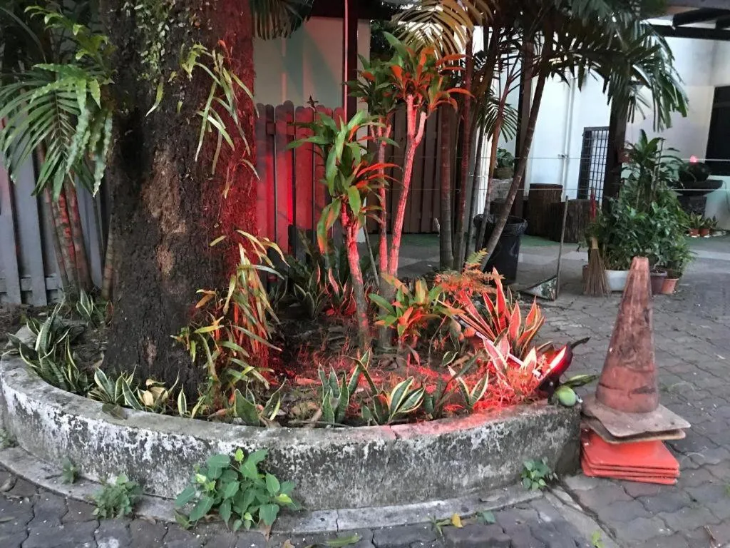 Lai Ming Hotel Cosmoland