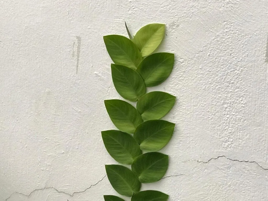 Lai Ming Hotel Cosmoland