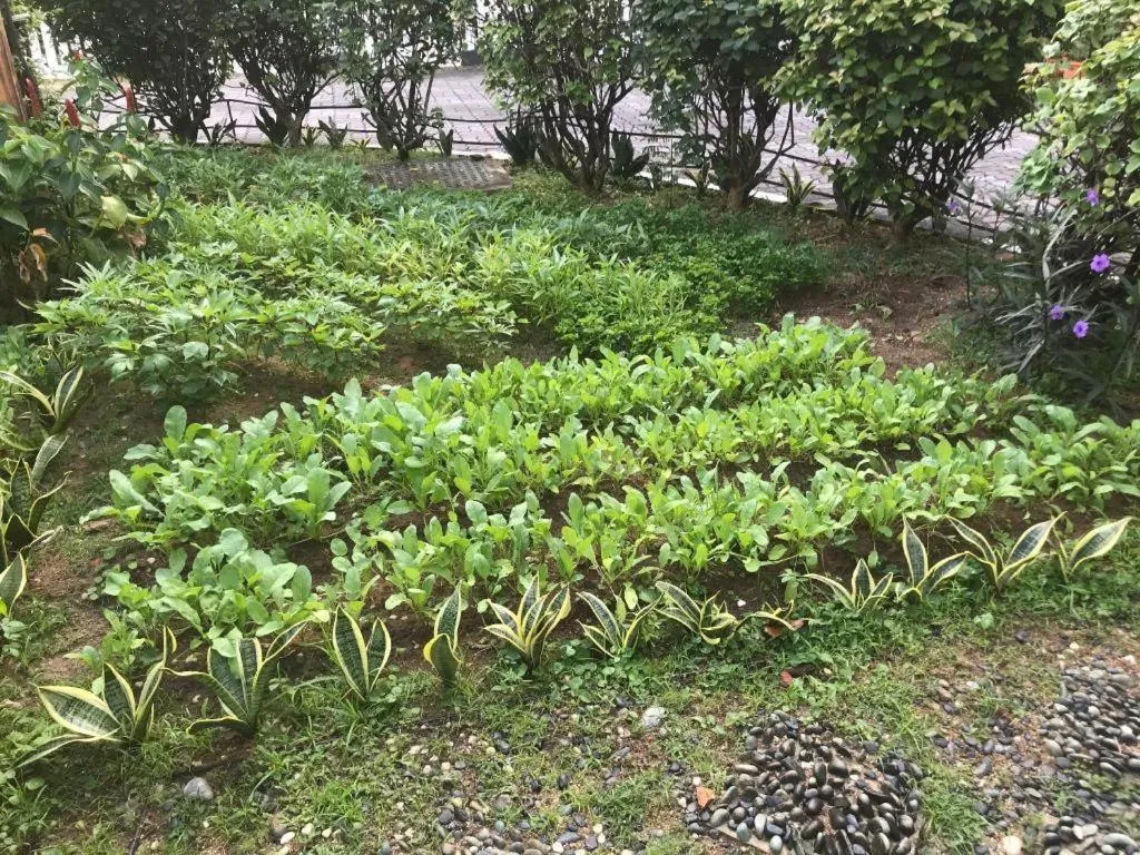 Lai Ming Hotel Cosmoland