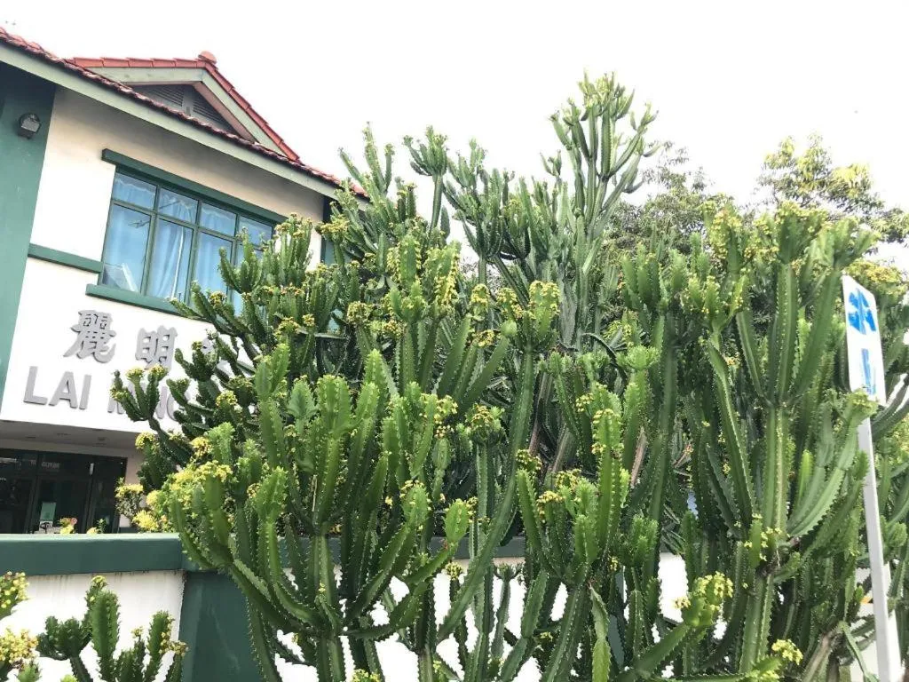 Lai Ming Hotel Cosmoland