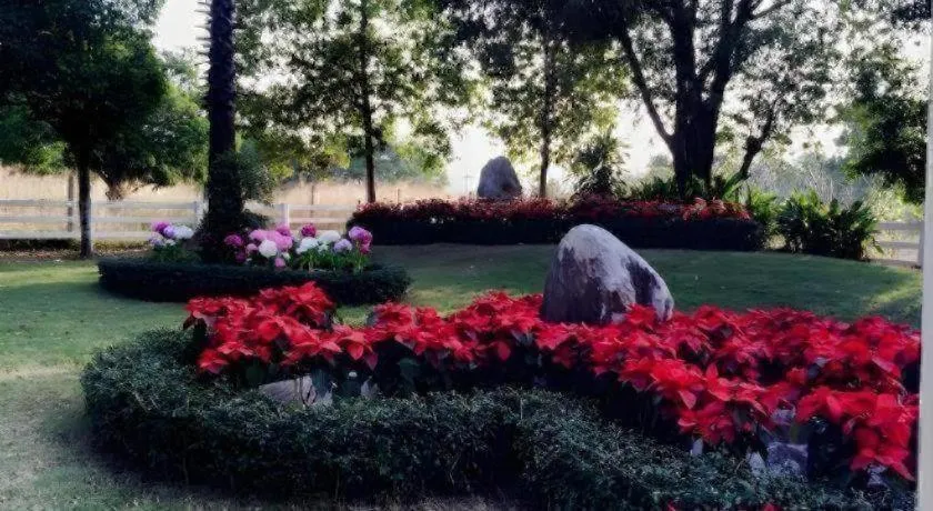 Khao Yai Country Hill Resort