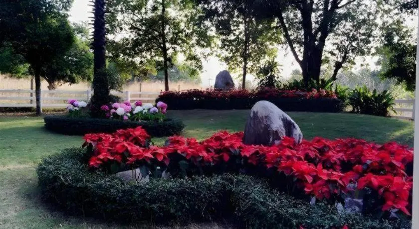 Khao Yai Country Hill Resort