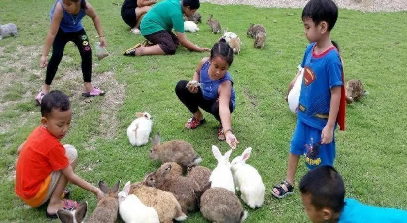 Tanaosri & Creekside Resort