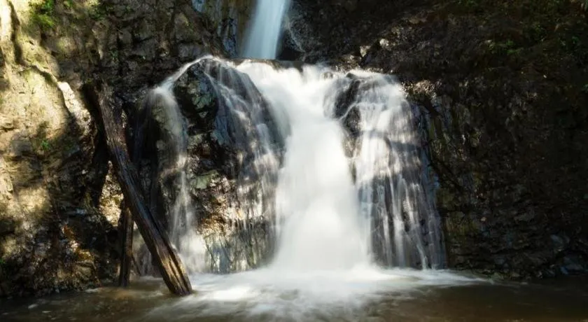 B2 Pai Premier Resort