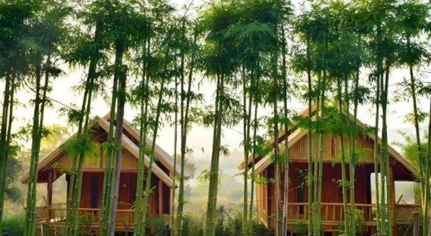 Baansuanpai Noppakao